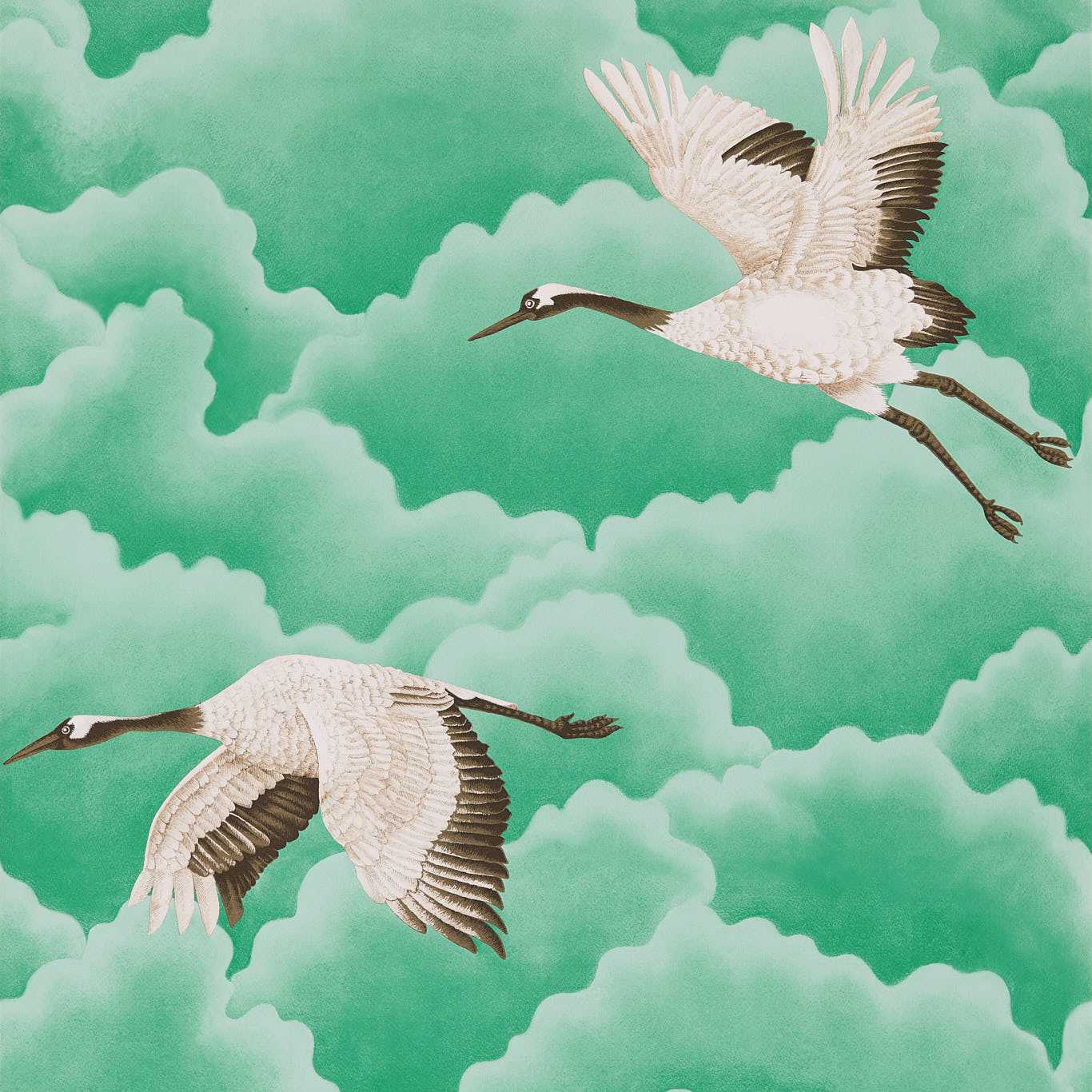 Cranes In Flight 111233
